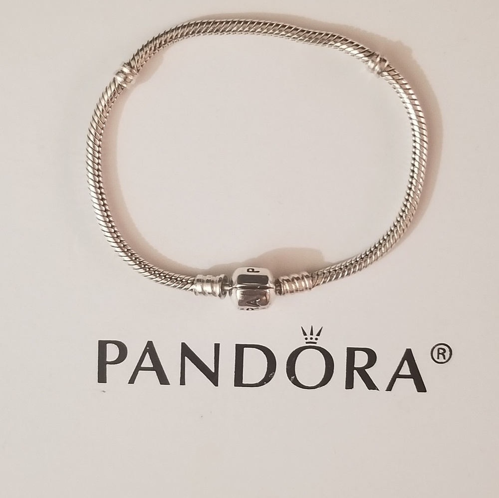 100% Authentic Pandora Iconic Bracelet